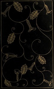 Cover of Lives of Fair and Gallant Ladies. Vol 1 by Pierre de Bourdeille Brantôme