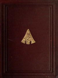 Cover of The Ancient Stone Implements, Weapons and Ornaments, of Great Britain: Second Edition, Revised by John Evans