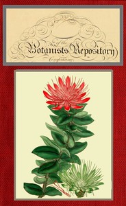 Cover of The botanist's repository for new and rare plants; vol. 10 [of 10] by Henry Cranke, active 1799-1828 Andrews