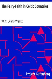 Cover of The Fairy-Faith in Celtic Countries by W. Y. (Walter Yeeling) Evans-Wentz