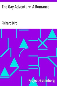 Cover of The Gay Adventure: A Romance by Richard Bird