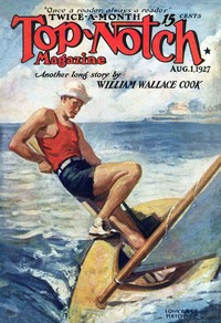 Cover of The Old Lady flies by Raoul Whitfield