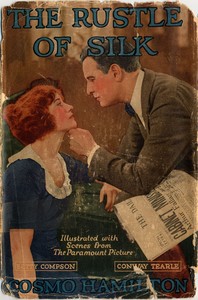 Cover of The Rustle of Silk by Cosmo Hamilton